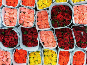 Wilting In Covid Fire Flower Market Bourse Look For Shade The Economic Times