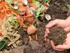Home Composting Of Kitchen Waste