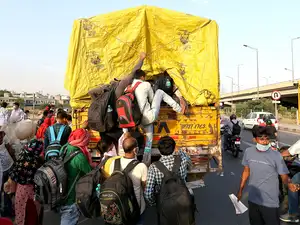 virus migrant truck ani