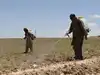 Food security