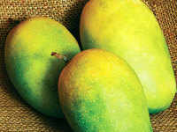 mango: A heat wave's lamented victim: The mango, India's king of fruits -  The Economic Times