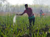 Cheaper gas to cut urea subsidy bill; to boost profitability of urea makers: Crisil Ratings