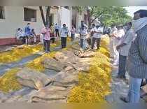 Sangli: Traders check turmeric before online auction, during a nationwide lockdo...
