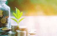 BankBazaar raises Rs 45 crore in ongoing funding round led by WSV