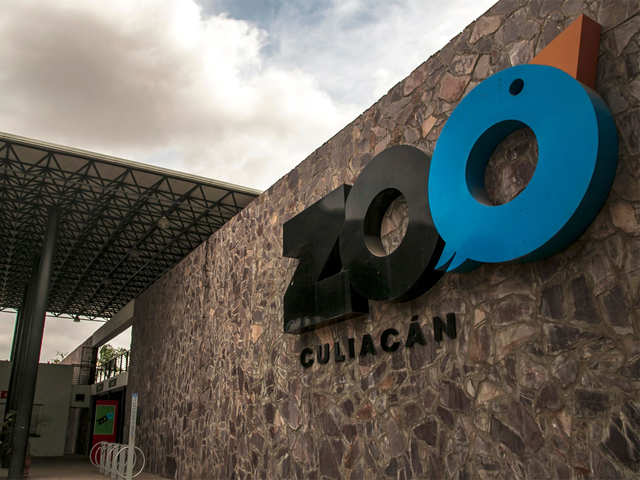Struggle - Mexican zoo saves animals endangered by virus crisis | The  Economic Times