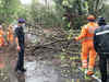 Watch: Cyclone Nisarga landfall leaves trail of destruction