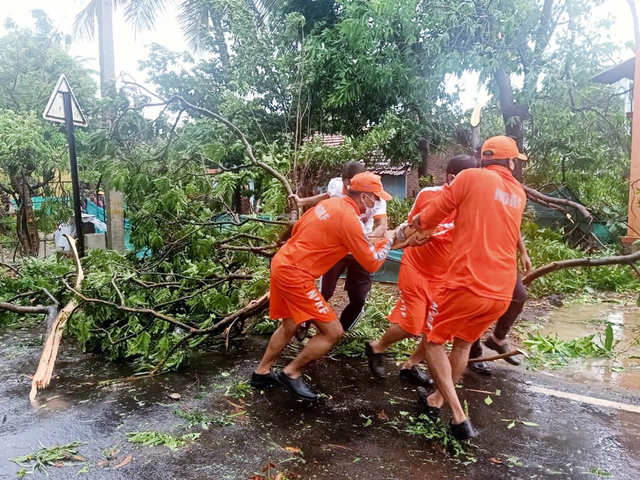 Clearing uprooted trees