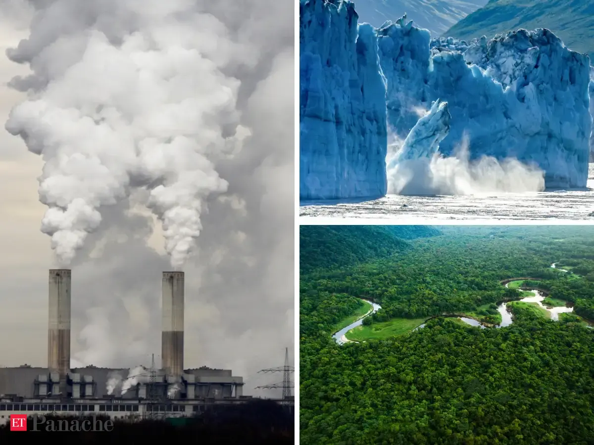 Pollution Leading To Deaths - Deforestation, 22 Polluted Indian Cities ...