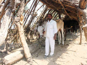 dairy-farmers.bccl