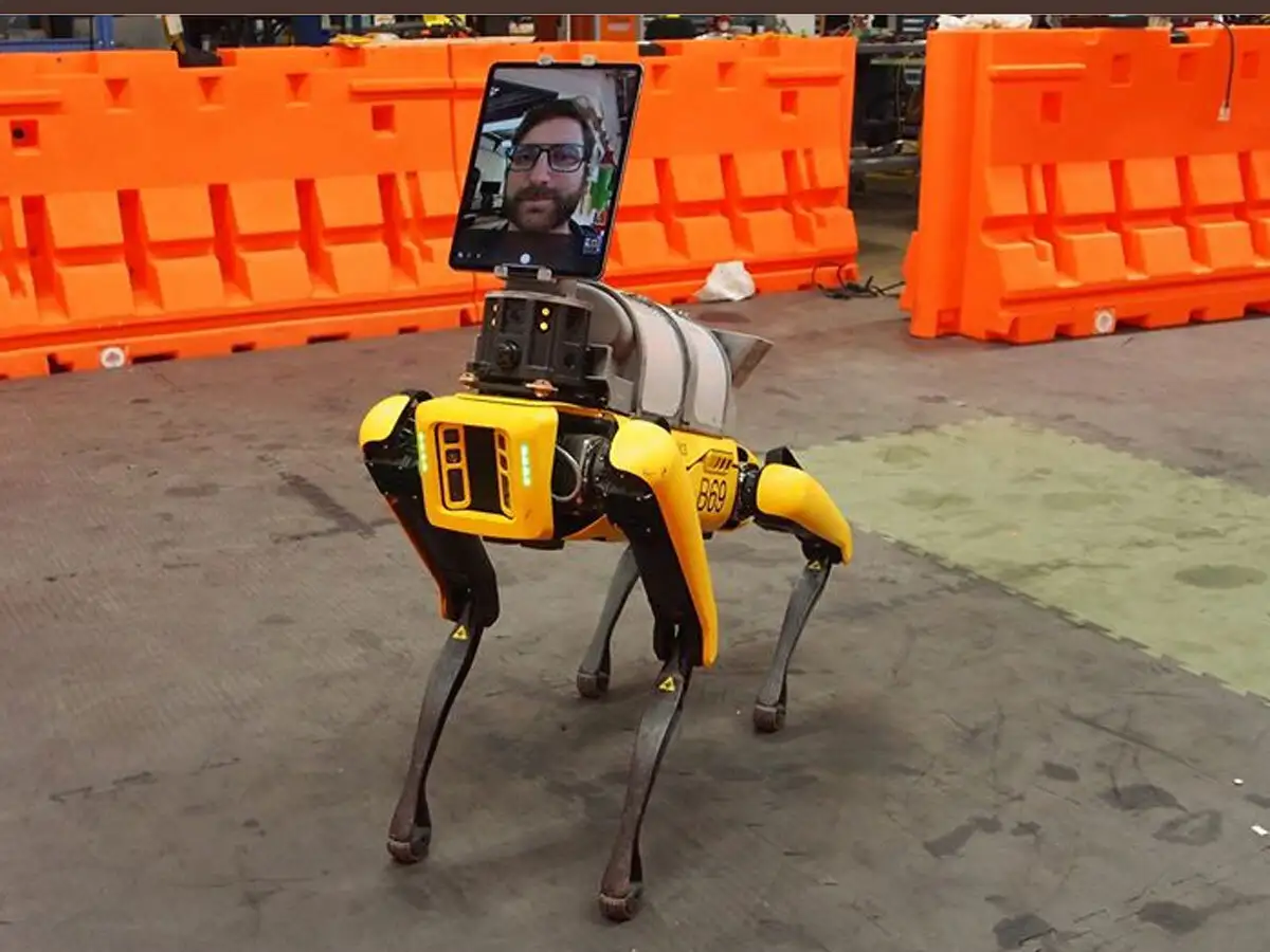 boston dynamics cursing robot