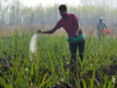 Fertilisers
