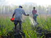 Kharif planting rises 40% on strong monsoon start