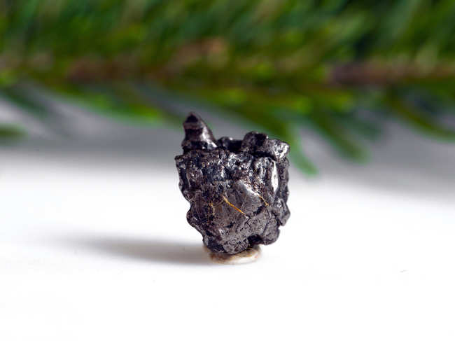 metallic Meteorite_iStock