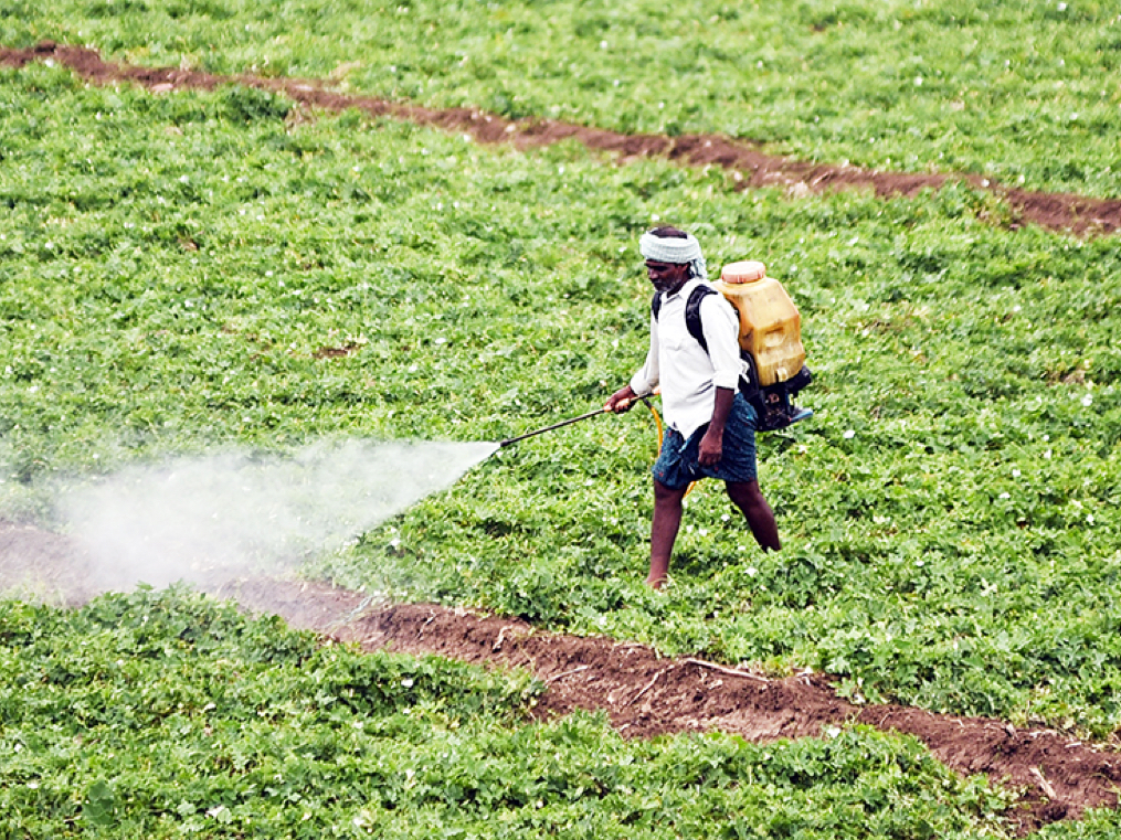 The cost of a unilateral ban: The pesticides industry stares at an INR9,600 crore hole in business
