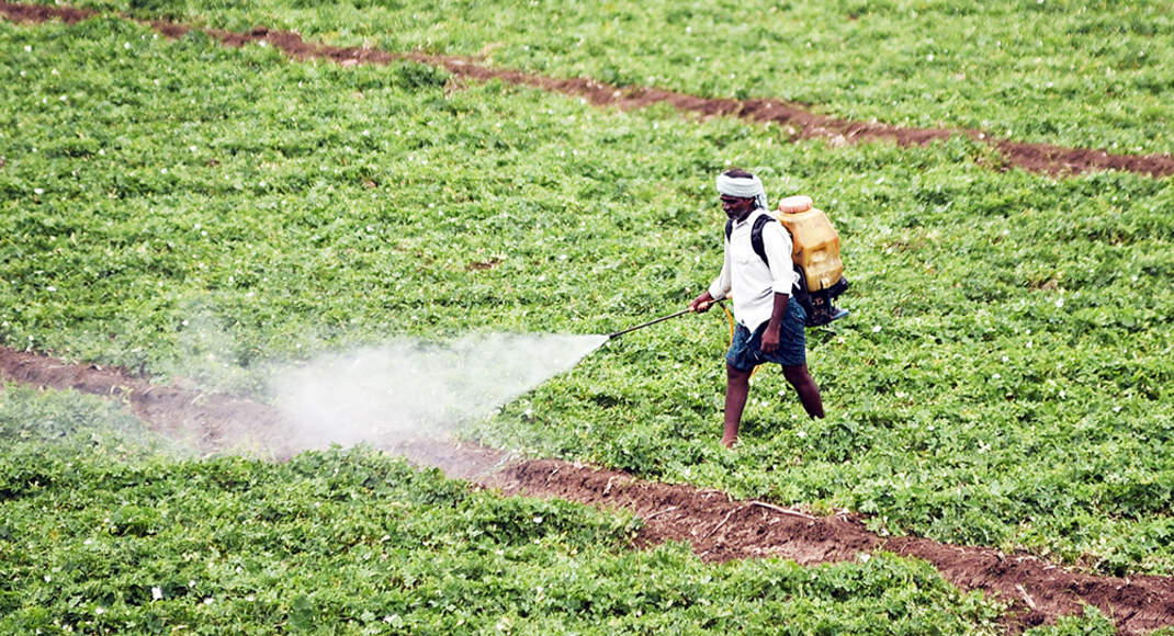 The Cost Of A Unilateral Ban The Pesticides Industry Stares At An Inr9