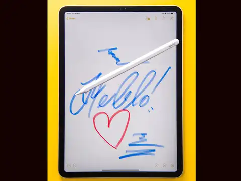 Scribble With Apple Pencil