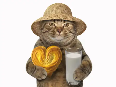 Diet 