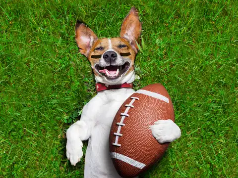 Plan To Play