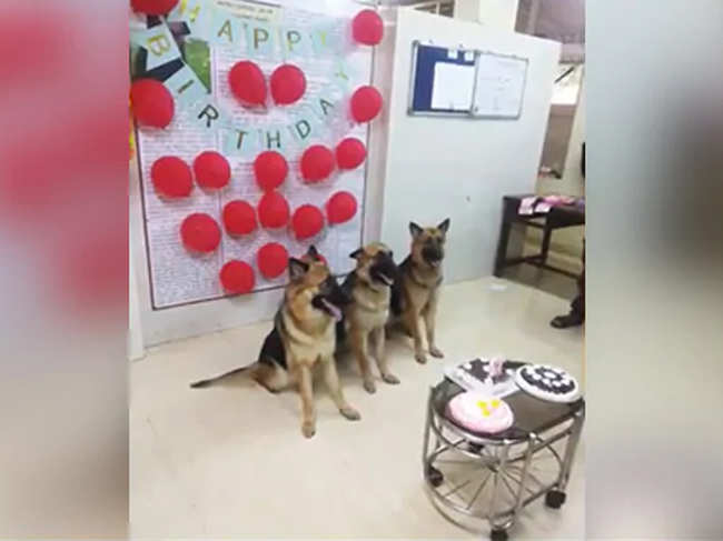Mumbai Police celebrated their birthday, complete with cake, balloons and picture-perfect moments.
