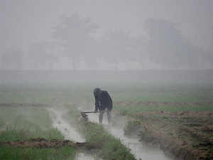 Farmer.-AFP