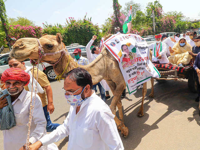 ​Camel-cart ride during protest