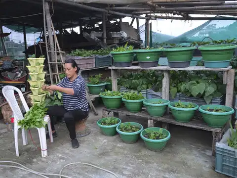 Farming bonds 