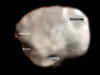 ISRO's MOM captures image of the biggest moon of Mars