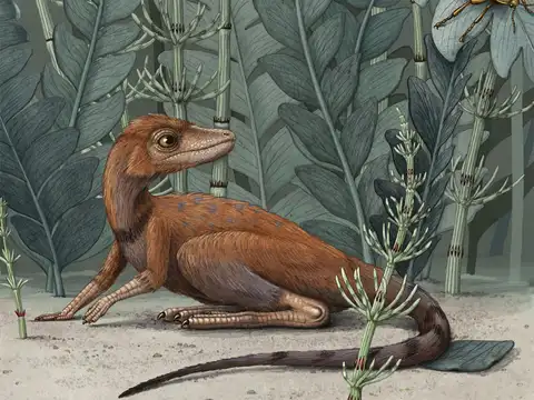 "You could pet them," say paleontologists