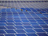 Solar tariffs may plunge further: Analysts