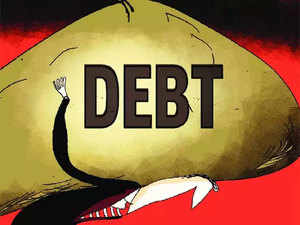 Debt---Agencies