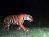 ‘Largest-ever camera trap wildlife survey’ puts India in record books
