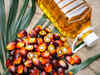 Palm oil falls on weaker crude, rival soyoil