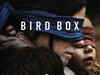 Sandra Bullock-starrer 'Bird Box' to get a sequel, author Josh Malerman reveals