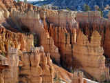 'Hoodoos' at the Bryce Canyon National Park, Utah