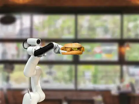 Miso Robotics