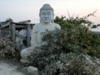 Rare Buddha statue vandalised in Pakistan nearly 1,700-year old, belonged to Gandharas