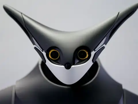 What roles can a robot play?