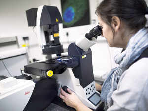 scientists study virus lab gett