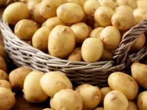 potato agencies