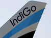 IndiGo reports net loss of Rs 2,844 cr in Q1FY21; revenue plunges 92%