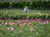 Windsor Castle opens terrace garden for first time in 40 years