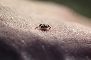 What is the tick-borne virus spreading in China?