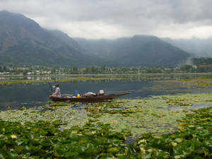 jammu-and-kashmir