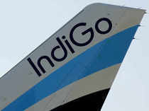 Indigo