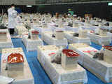 Japan quake: Unidentified coffins