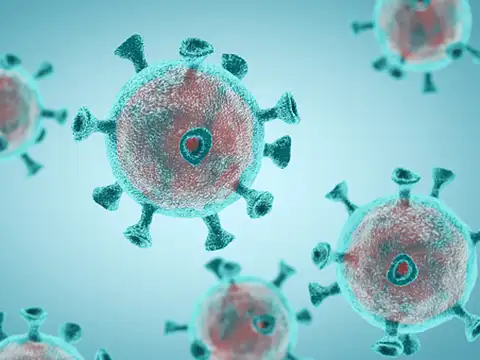 What the science say