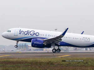 Indigo---BCCL