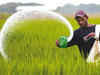 Licences of over 600 fertiliser sellers suspended in Uttar Pradesh