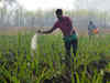 Ramagundam Fertilizers to commence commercial urea production from November