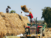 Farmer-1---istock